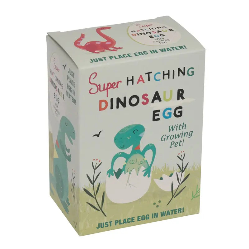 Eine Rex London Dinosaurier-Ei zum Ausbrüten Box zeigt Cartoon-Dinos und ein Brutei mit einem Dino-Baby. Auf der Verpackung steht: "Ei einfach ins Wasser legen! Mit wachsendem Tier!.