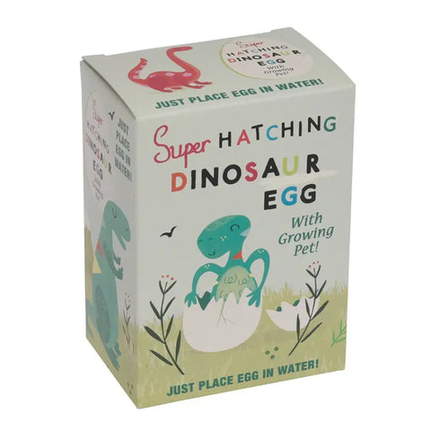 Eine Rex London Dinosaurier-Ei zum Ausbrüten Box zeigt Cartoon-Dinos und ein Brutei mit einem Dino-Baby. Auf der Verpackung steht: "Ei einfach ins Wasser legen! Mit wachsendem Tier!.